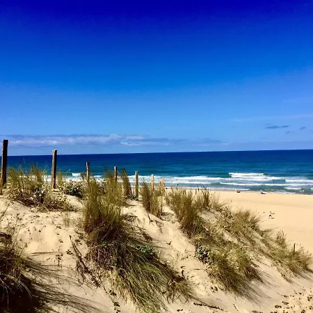 ヴィラ Belle Familiale Renovee Dans Cadre Exceptionnel-ag15 ラカノー