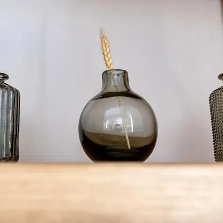 ヴィラ Belle Familiale Renovee Dans Cadre Exceptionnel-ag15 *